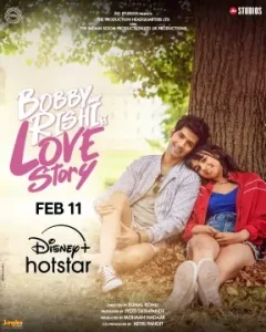 Bobby Aur Rishi Ki Love Story 2025 Bollywood Movie DotMovies