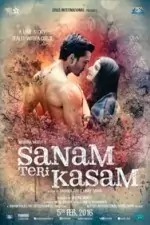 Sanam Teri Kasam 2025 Bollywood Hindi Movie DotMovies