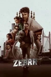 Zebra 2025 Hindi + Telugu South Movie DotMovies